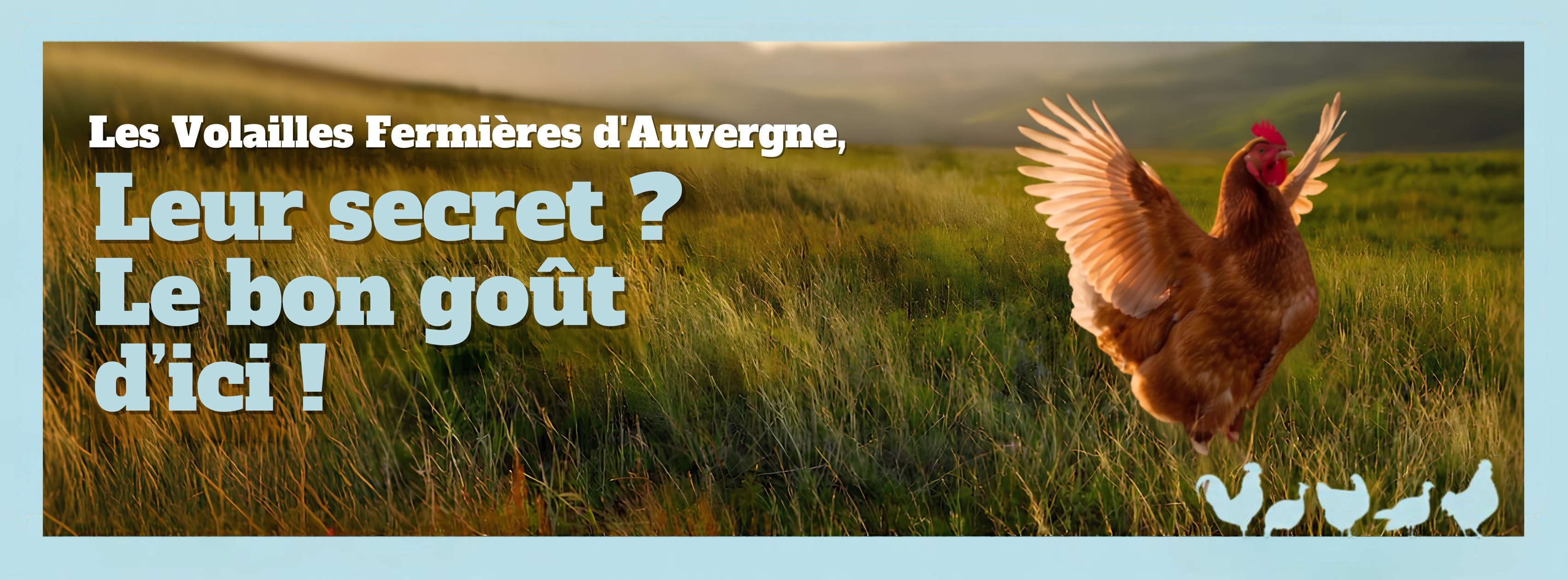 Les Volailles Fermières d'Auvergne, leur secret ? Le bon goût d'ici !